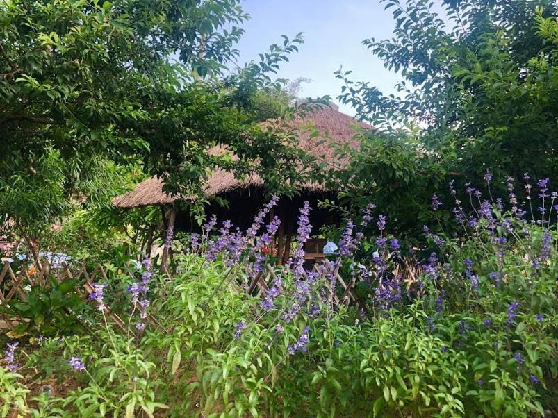 Savana Moc Chau Bed and Breakfast Εξωτερικό φωτογραφία