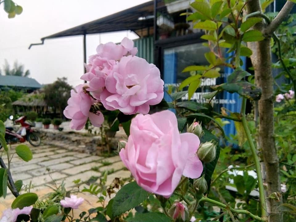 Savana Moc Chau Bed and Breakfast Εξωτερικό φωτογραφία